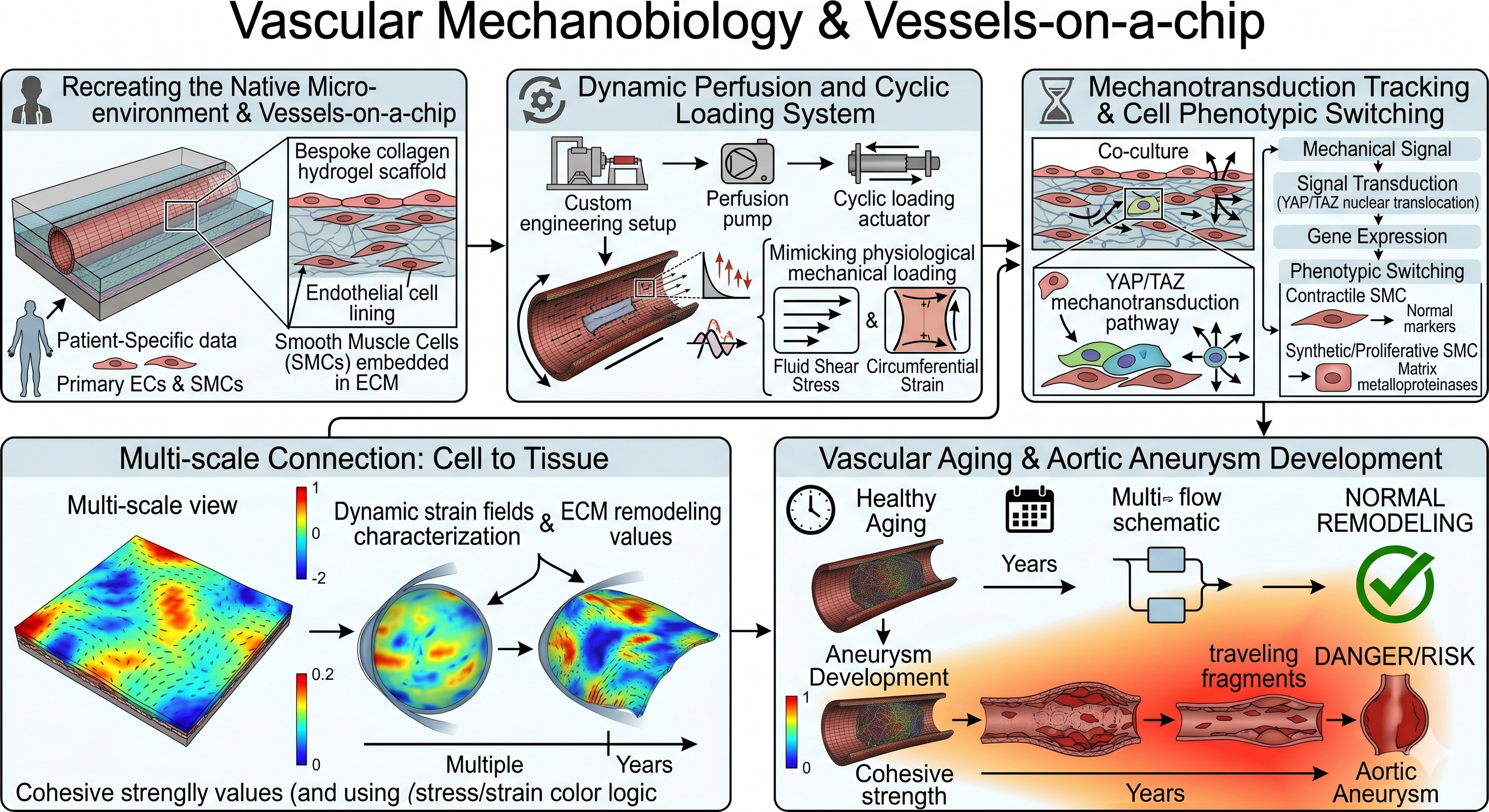 Vessels-on-a-chip